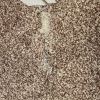 Phoenix Carpet Repair and Cleaning Serves a Niche in the Phoenix Metropolitan Area