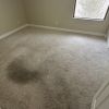 Unveiling the Magic of Professional Carpet Cleaning: Say Goodbye to Heavily Soiled Woes!