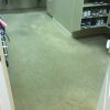 Revitalize Your Home: The Benefits of Professional Carpet Cleaning