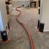 Protecting Your Home with Corner Guards: The Extra Step in Professional Carpet Cleaning