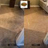 New Year, Fresh Start: Renew Your Home with Professional Carpet Cleaning