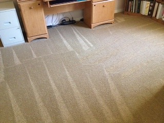 Carpet Cleaning in Goodyear