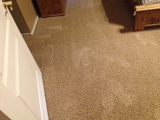 Clean Carpets in Goodyear