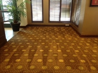 Cleaning Carpet at the Hilton Garden Inn