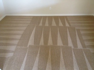 Move out carpet cleaning in Phoenix