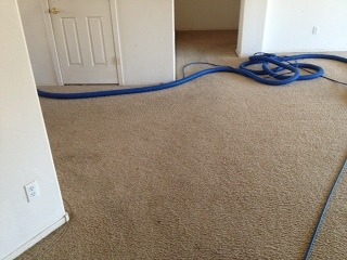 Goodyear Carpet cleaning