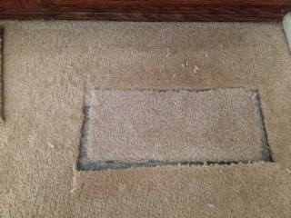 Chandler Carpet Repair Patch