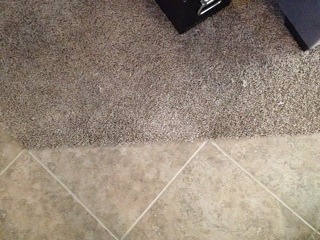 Goodyear Carpet Repair from Pet Damage