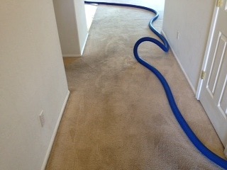Laveen Carpet Cleaning HWE