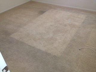 Tempe Carpet Stretching and Cleaning