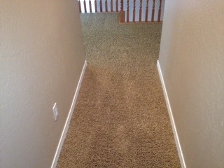 Deer Valley Carpet Cleaning and Carpet Repairs