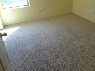 carpet cleaning Phoenix