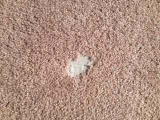 Carpet Repair