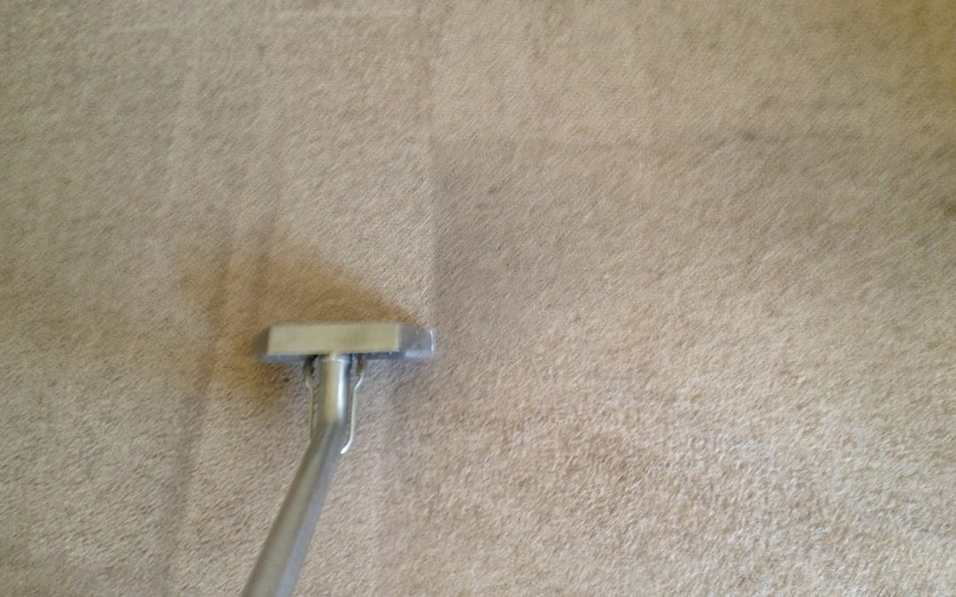 carpet cleaning Phoenix work
