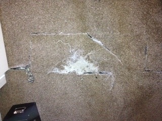 Pet Damage Carpet Patch Repair