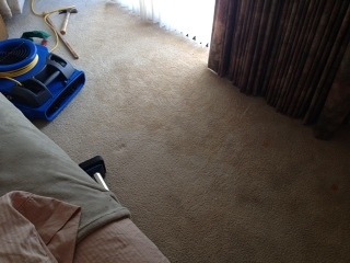 Phoenix Carpet Cleaning