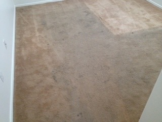 Carpet Cleaning Phoennix