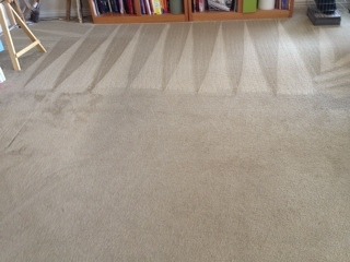 Phoenix Carpet Cleaning