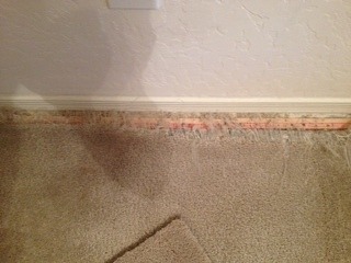 Repair Carpet Pet Damage
