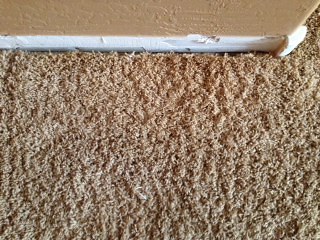 Carpet repair Goodyear
