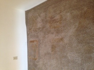 Mesa Carpet repair work