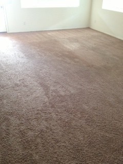 Phoenix Carpet Repair and Cleaning