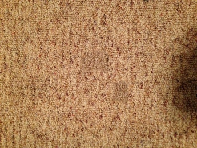 Berber Carpet Repairs