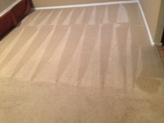 Carpet Cleaning Phoenix