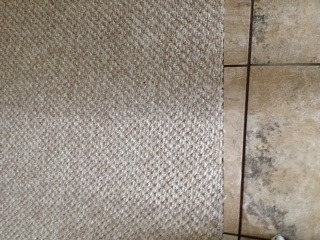 Clean My Berber Carpet