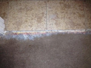 My Dog Ate My Carpet