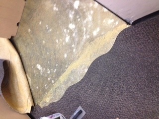 Commercial Carpet Repair