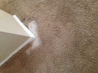 Dog Dug a Hole in Carpet
