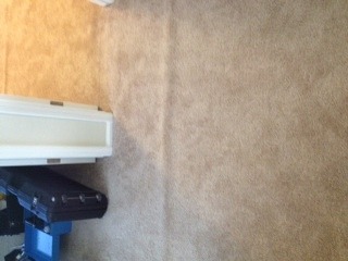My Carpet Has Bumps