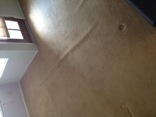 My Carpet Has Ridges In It