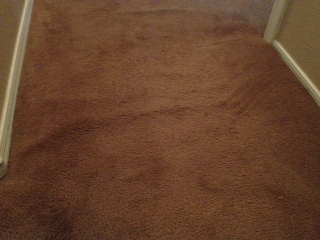 Chandler Carpet Cleaning