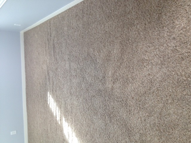 Gilbert Carpet Cleaning