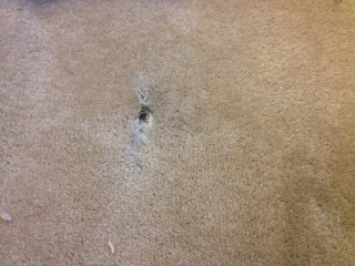 There’s a Hole in my Carpet!!!