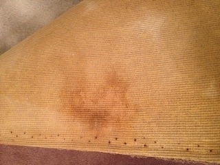LOOK!!! Remarkable Carpet Cleaning Phoenix