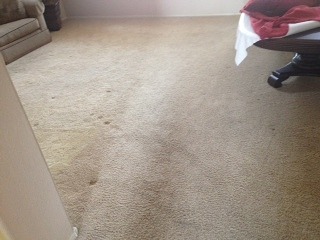 Tempe Carpet Cleaning
