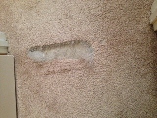 Mesa Carpet Damage repair work