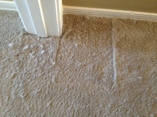 Scottsdale Carpet Cleaning and Repair Pet Damage
