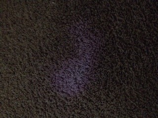 Bleach stain carpet repair