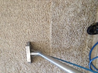 Phoenix carpet cleaning and Stretching