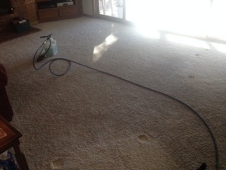 Same Day Carpet Cleaning in Chandler