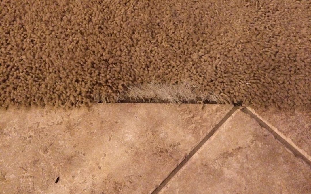 Goodyear Carpet to Tile Damage