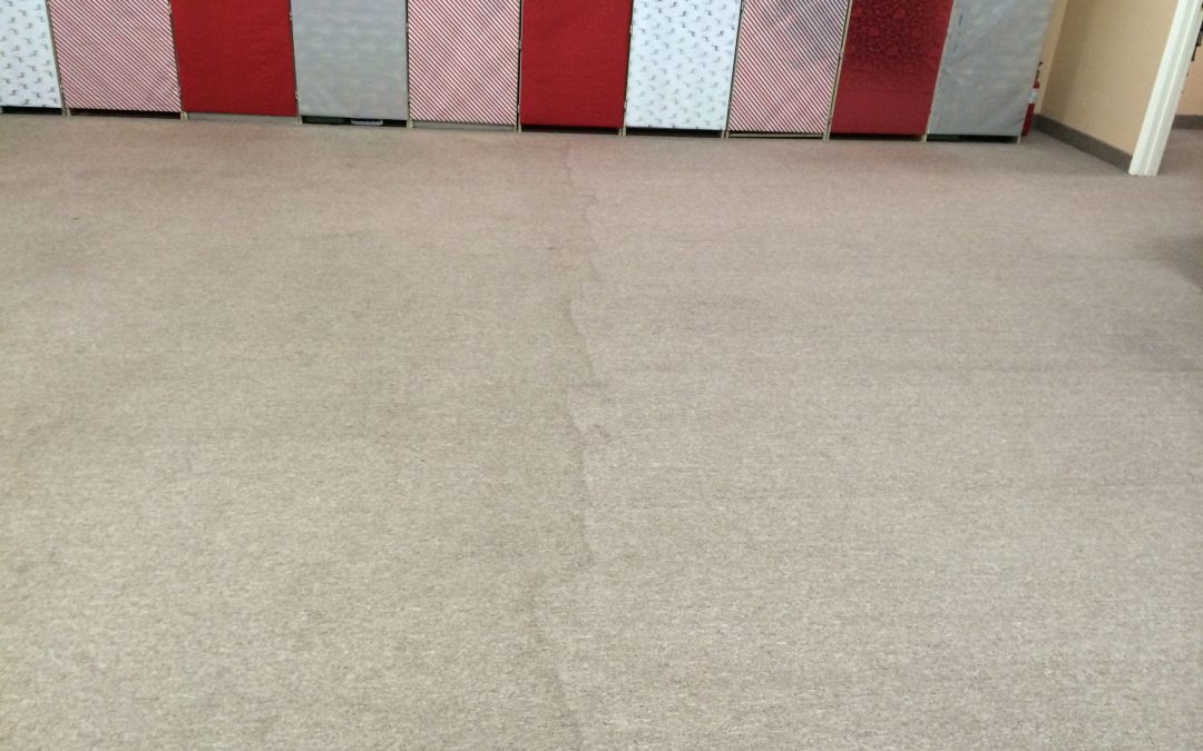 Commercial Carpet Cleaning for Merry Maids in Phoenix!