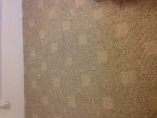 IICRC Certified Carpet Cleaning in Mesa