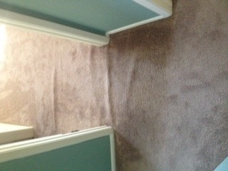 Mesa Carpet Cleaning Certified Company