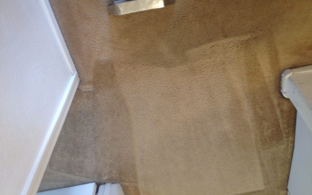 Peoria Certified Carpet Cleaning