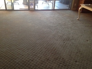 Carpet Cleaners in Peoria,Az